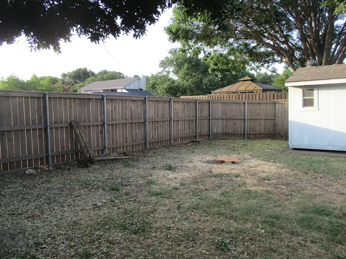 Cleared yard after professional tree removal in Centerfield