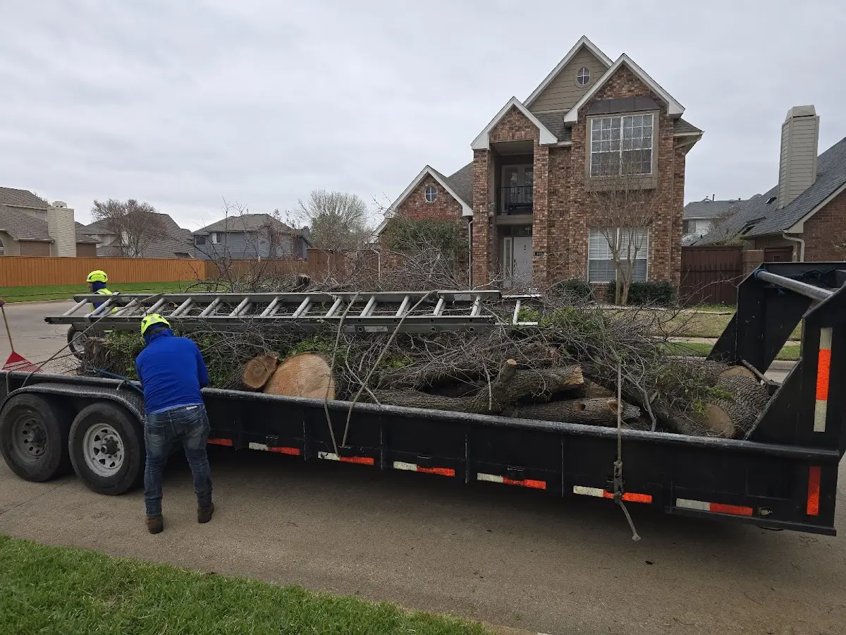 Expert Lot Clearing with proper safety equipment in Centerfield